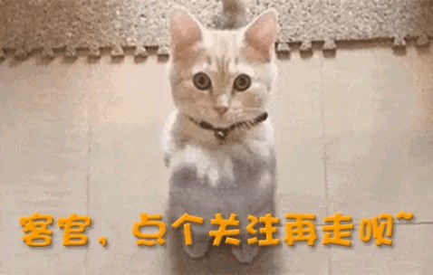 加盟德甲仅4月，28岁樊振东回归全运会，让人欣慰的一幕出现了